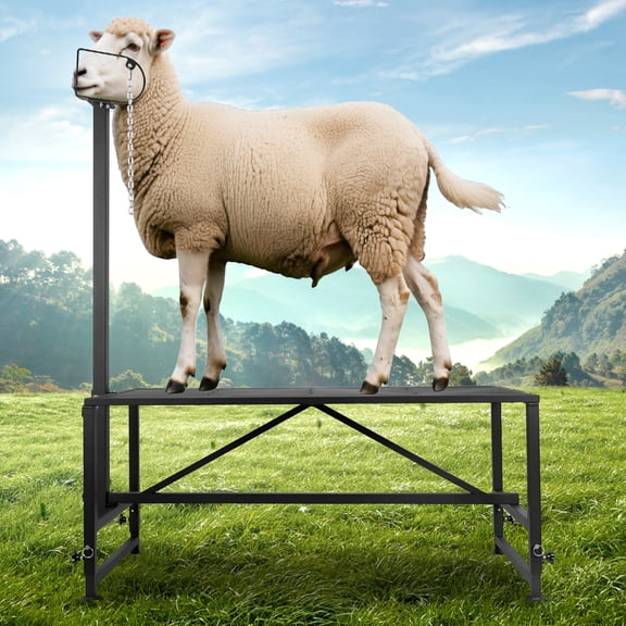 Goat & Sheep Stand with Adjustable Headpiece & Legs, 500LBS Livestock Stand, Heavy Duty Goat Stanchion, Adjustable Livestock Table for Milking Management