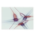 thumbnail image 1 of Spires Cutting Board, Contemporary Graphic of Artisan Spiral Molecular Wavy Scientific Theme Cell Print, Decorative Tempered Glass Cutting and Serving Board, Large Size, Red Blue, by Ambesonne, 1 of 1