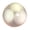 Macarons, variant on Transparent Ball Fidget Toys with Mini Glutinous Rice Ball Insides, Multi-Design Squishy Stress Relief Balls, Clear Sensory Toys for Anxiety Relief(Macarons)