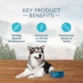 thumbnail image 6 of Blue Buffalo Wilderness Rocky Mountain Recipe High Protein Red Meat Dry Dog Food for Adult Dogs, Grain-Free, 10 lb. Bag, 6 of 13