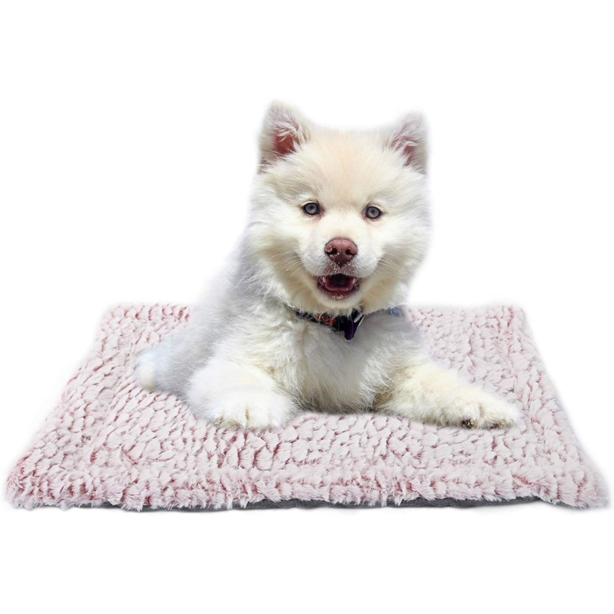 How Do I Wash My Dogs Bed