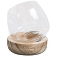 thumbnail image 2 of Glass Micro Landscape Bottle Multi-functional Household Small Fish Bowl, 2 of 9