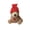 A, variant on B Mini Pocket Plush Teddy Bear Doll Cute Small Keychain Charm For Bag Purse Decoration Comfort Toy