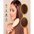 thumbnail image 3 of Champú y acondicionador orgánico con árbol de aceite de aloe vera-Castor- Argan- Macadamia- Coconut & Jojoba -Sulfate/Paraben Free- para todos los tipos de cabello: hombres y mujeres (33 oz), 3 of 5