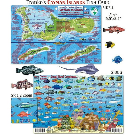 Franko Maps - Cayman Islands Reef Fish ID