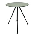 thumbnail image 1 of Table de Camping en Alliage d'Aluminium, Table Extérieure, Télescopique, Réglable, Ronde, Légère, Voyage, Randonnée, Barbecue, 1 of 4