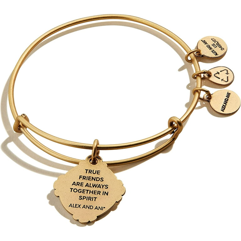 Alex and Ani Path of Symbols Expandable Bangle for Women Token of