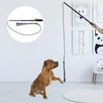 thumbnail image 3 of Dog Toys, Durable  Elastic String Cat Teaser, Play For Dogs Cats Home, 3 of 8