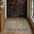 thumbnail image 3 of BERTHMEER 2'x3' Small Brown Area Rugs for Bathroom Bedroom Entryway Kitchen Dorm Entrance Vintage Non Slip Washable Oriental Traditional Distressed Rugs, 3 of 9