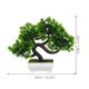 thumbnail image 2 of unbranded 1Ud Bonsái Pino Simulado Verde Potted Planta Decorativa Duradera Y, 2 of 6