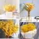 thumbnail image 5 of 1 ramo de flores secas de Gypsophila., 5 of 6