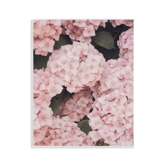 Stupell Industries Pink Hydrangea Blossoms Plants & Flowers Photography Unframed Art Print Wall Art, 11 x 14