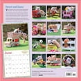 thumbnail image 2 of The Original Pocket Pigs Wall Calendar 2023 : The Famous Teacup Pigs of Pennywell Farm (Calendar), 2 of 3