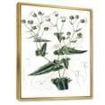 thumbnail image 3 of Designart 'Ancient Plant Life XXII' Traditional Framed Canvas Wall Art Print, 3 of 5