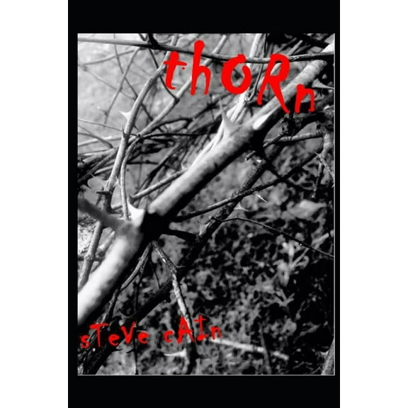 Thorn (Paperback)