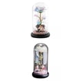 thumbnail image 1 of 2x Forever Colorful Rose In Flower Light Decoración Romántica para, 1 of 9