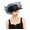 black, variant on 1‑piece JINXI Headwear Series Elegant‑curved Mesh Hat, Head Accessory for Parties and Formal Occasions