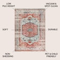 thumbnail image 3 of JONATHAN Y CALIFORNIA VINTAGE 8 x 10 Area Rug, Andalus Vintage Medallion - Coral/Ivory, CAV102A-8, 3 of 10