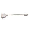 thumbnail image 3 of Cable adaptador Connectland Mini-DVI a DVI 1920x1200 @60Hz, 3 of 7