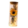 thumbnail image 3 of Flor preservada con cadena de luces, regalo romántico para San Valentín, boda. Estilo F, 3 of 9