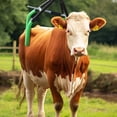 thumbnail image 6 of Flylapdo Cow Hip Lift High Strength Cow Lift Harness Livestock Handling Supplies Sturdy Stable Cow Lifting Rack Cow Sling Lift for Different Sizes Cows lovable, 6 of 9