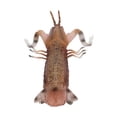 thumbnail image 4 of Marine Animal Model,  Plastic Mantis Shrimp Shape Solid Simulation Shrimp Attractive  For Children Cognitive Toy For House Decoration, 4 of 8