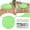 Mint Green, variant on Indoor Outdoor Round Chair Cushions 11.8 Inch, Bistro Seat Cushion with Ties, Non Slip Circle Stool Chair Pads Set of 2, for Kitchen, Dining Chair, Porch Swing, Green
