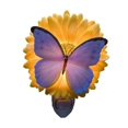 thumbnail image 2 of Blue Butterfly and Gerber Daisy Floral Night Light, 2 of 2