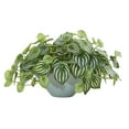 thumbnail image 2 of Nearly Natural Plastic 19" Watermelon Peperomia Artificial Plant in Green Vase, Green, 2 of 2