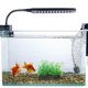 thumbnail image 4 of Milisten 3Ud Artificiales Para Decorar De Peces Estables, 4 of 6