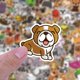 thumbnail image 3 of Lindas Pegatinas De Animales, Pegatinas Impermeables De Pvc, Pegatinas Para Botellas De Agua, 100 Uds., Pegatinas De Animales Bonitos, Pegatinas Impermeables De PVC Para Botellas Anggrek Otros, 3 of 8