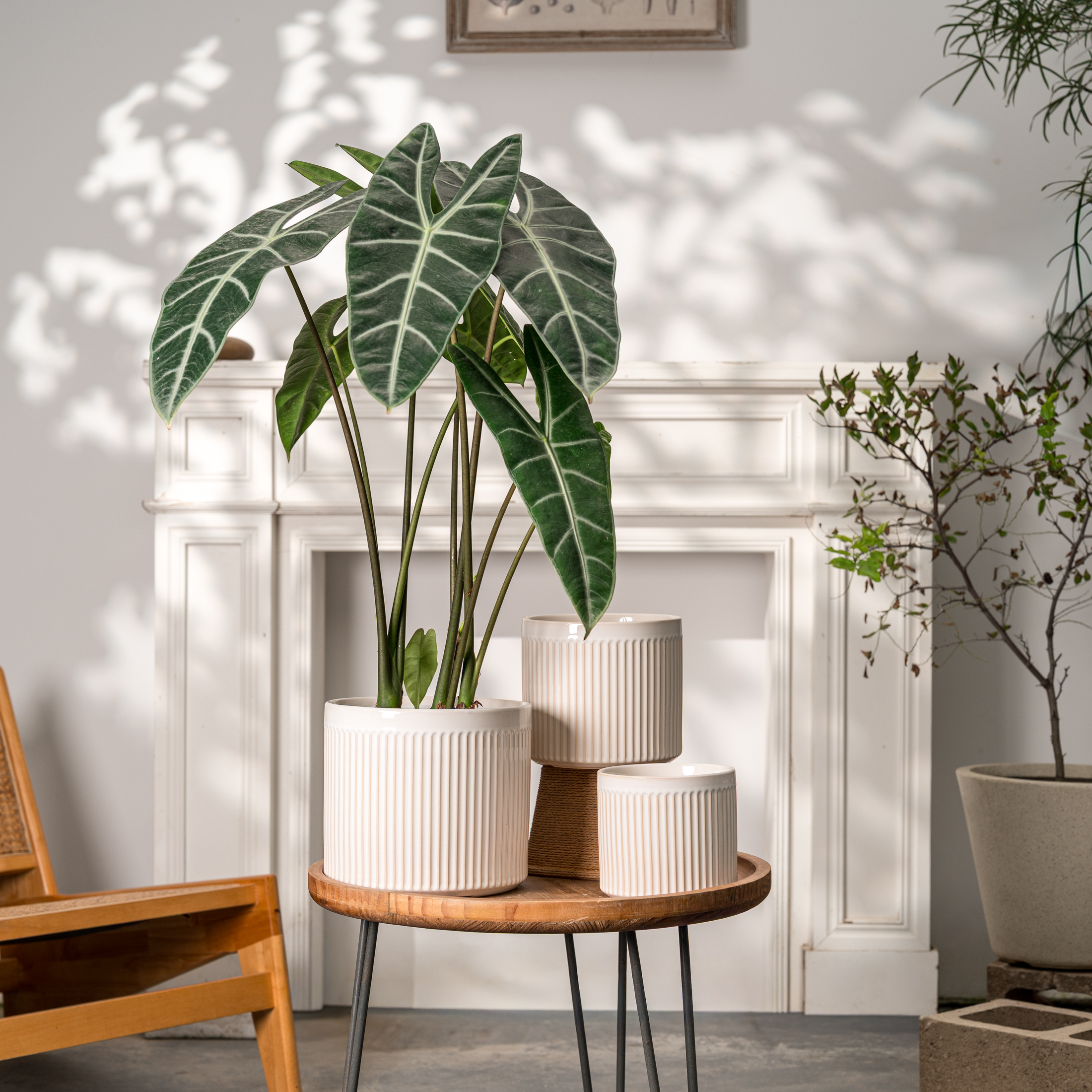 UMIAMOY Modern Cylinder Set of 3 Ceramic Flower Pots,5.7+7.0+8.6 inch Plant Pots with Drainage Holes and Saucer,Indoor Outdoor Planters for Home Patio Garden Decoration