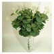 thumbnail image 5 of "50pc Hojas Artificial De Eucalipto Plantas Artificial Ramas Lab.G Color Blanco/verde ", 5 of 5