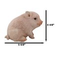 thumbnail image 2 of Ebros Rustic Adorable Animal Farm Babe Fat Nude Piglet Pig Sitting Figurine 6"L, 2 of 9