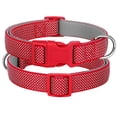thumbnail image 6 of Beirui Durable Webbing Dog Collar Safety Reflective Collars Adjustable Quick Fit S-L, 6 of 11