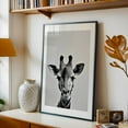 thumbnail image 5 of Baby Giraffe - Photography Animal Wildlife Black and White Minimalist Nature Portrait Surrealism Black Framed Wall Art Print 24 x 36 inches, 5 of 8