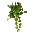 thumbnail image 2 of Vickerman 18" Grn Pothos Leaf Hanging Bush 3/Pk - FZ190718, 2 of 3