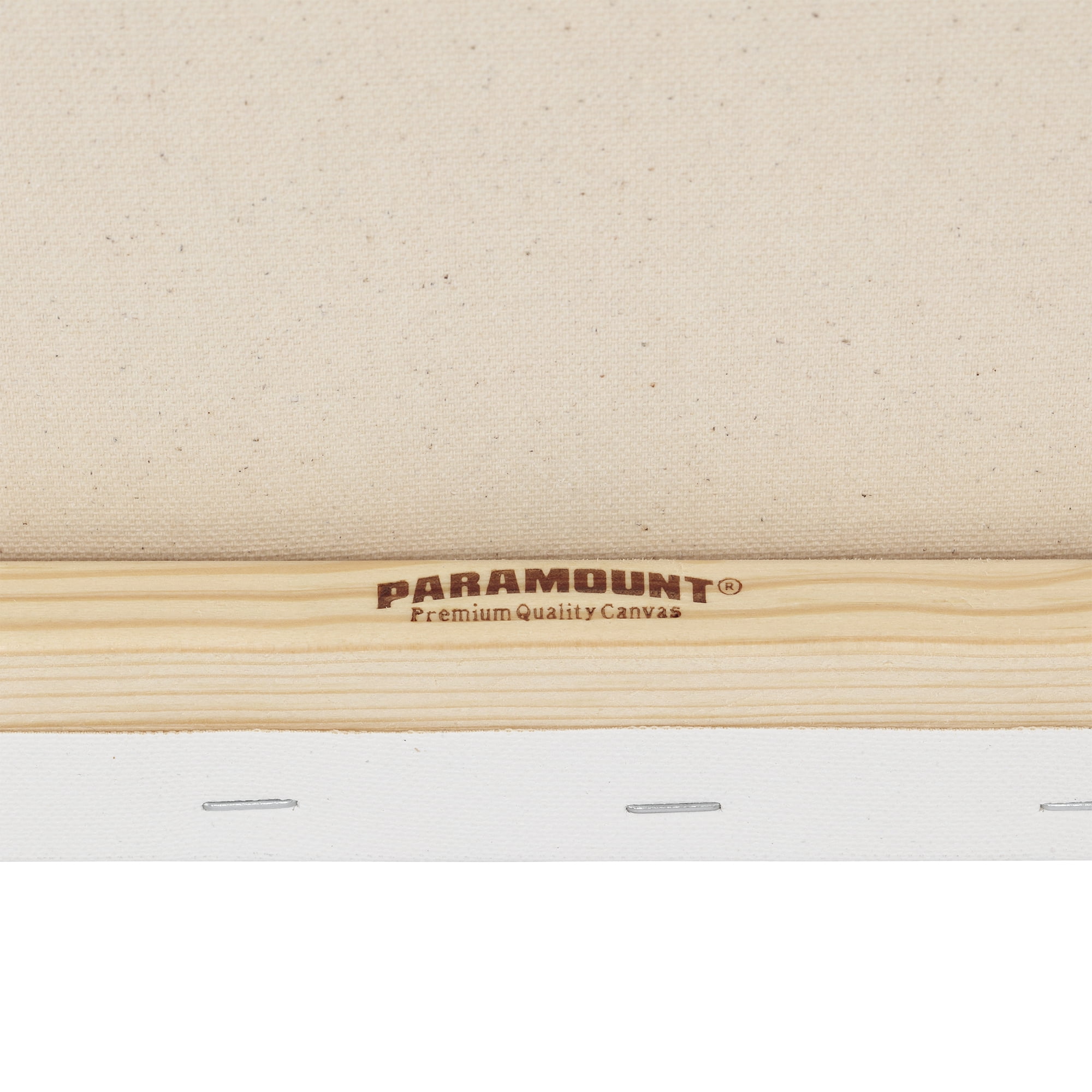 Paramount Canvas for Painting - Pack of 6, 12x16" White Canvases- 11/16" 100% Cotton Stretched Canvas, Triple-Primed for All Media, Medium Tooth, Back-Stapled, 12oz Primed Weight, Wood Stretcher Bars