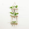 thumbnail image 3 of Advancent Terrario de plantas para colgar en la pared: de fácil a amplia aplicación Tubos de propagación de plantas firmes y duraderos Type2 NO2, 3 of 6