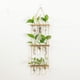thumbnail image 4 of Ounissouiy Tubo de ensayo para colgar en la pared - Fácil de instalar Tubos de propagación de plantas duraderos y firmes de amplia aplicación Jardín y Patio burlywood, 4 of 6