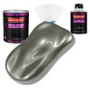 Restoration Shop Graphite Gray Metallic Acrylic Urethane Auto Paint Complete Quart Paint Kit, Single Stage High Gloss
