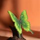 thumbnail image 4 of Fine Enamel Art Painting Craft Kit, 3D Butterfly Handmade Decoration Gift, DIY Handmade Material Bag C, 4 of 5