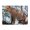 500 Pieces, variant on 500-Piece Wooden Jigsaw Puzzle for Adults & Families - Leopard On Branch Wildlife , Fun & Educational Brain-Teasing Game, Artistic Home Decor