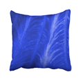 thumbnail image 1 of RYLABLUE Popular Retro Blue Elephant Ear Texture Polyester 18 x 18 Inch Square Throw Pillow Covers With Hidden Zipper Home Sofa Cushion Decorative Pillowcases, 1 of 1
