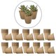 thumbnail image 3 of Plantas de semillero biodegradables macetas de propagación de 6cm 100 piezas Gloria macetas de plantador de plántulas, 3 of 9