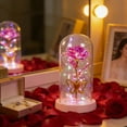 thumbnail image 2 of AYktou Valentine's Day Rose & Butterflys Desktop Ornaments, Birthday Gift L Light Artificial Rose with Glass Cover Glowing Rose Night Light Gift Preserved Flower for Her & Wife Grandma Mom, 2 of 6