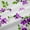 Green Purple, variant on Manfei Purple Blossoms Black Out Curtains for Kids Children,Spring Graden Curtains Pack of 2 (42x63 Each),Chic Floral Flowers Bedroom Curtains,Microfiber Bedroom Decor