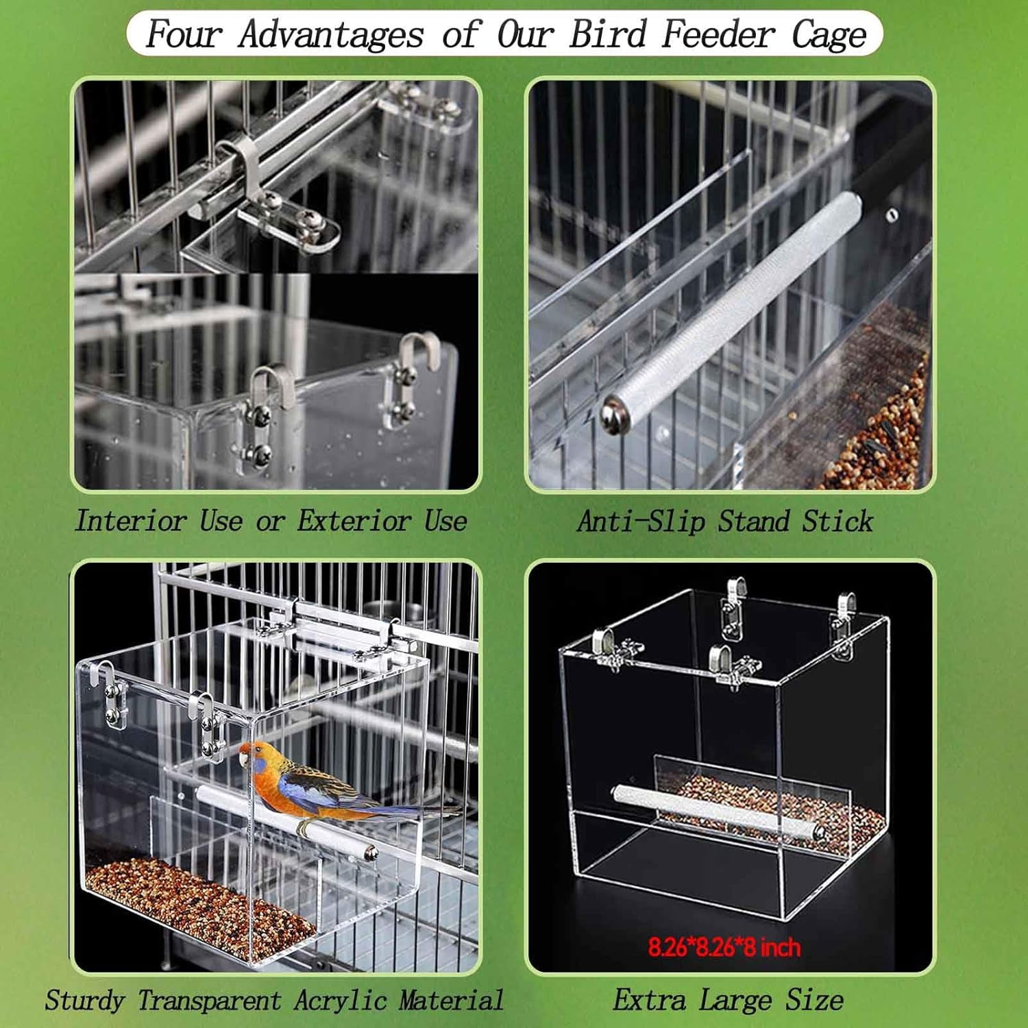 Automatic Acrylic Bird Feeder for Cage, No Mess - Small Bird Parrots, Canary, Parakeet, Budgerigar, Crested Myna, Cockatiel (XL)