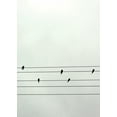thumbnail image 2 of Braun Studio 24x32 Gold Ornate Wood Framed with Double Matting Museum Art Print Titled - Guitar Birds, 2 of 4