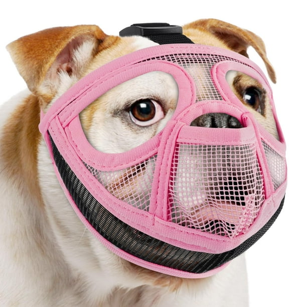 Bozal Mayerzon para perros braquicéfalos de hocico corto, para Bulldog Francés y Shih Tzu